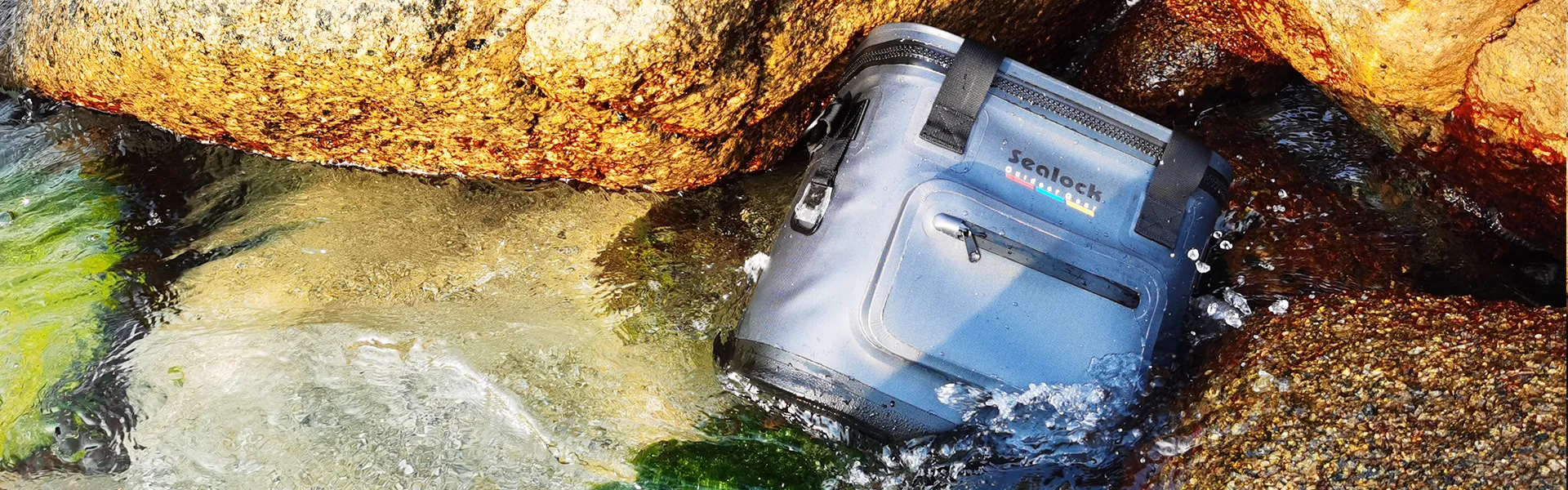 பதிவிறக்கவும்