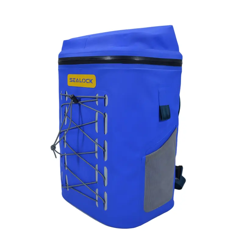 பிக்னிக் ஃபுட் கூலர் பேக்